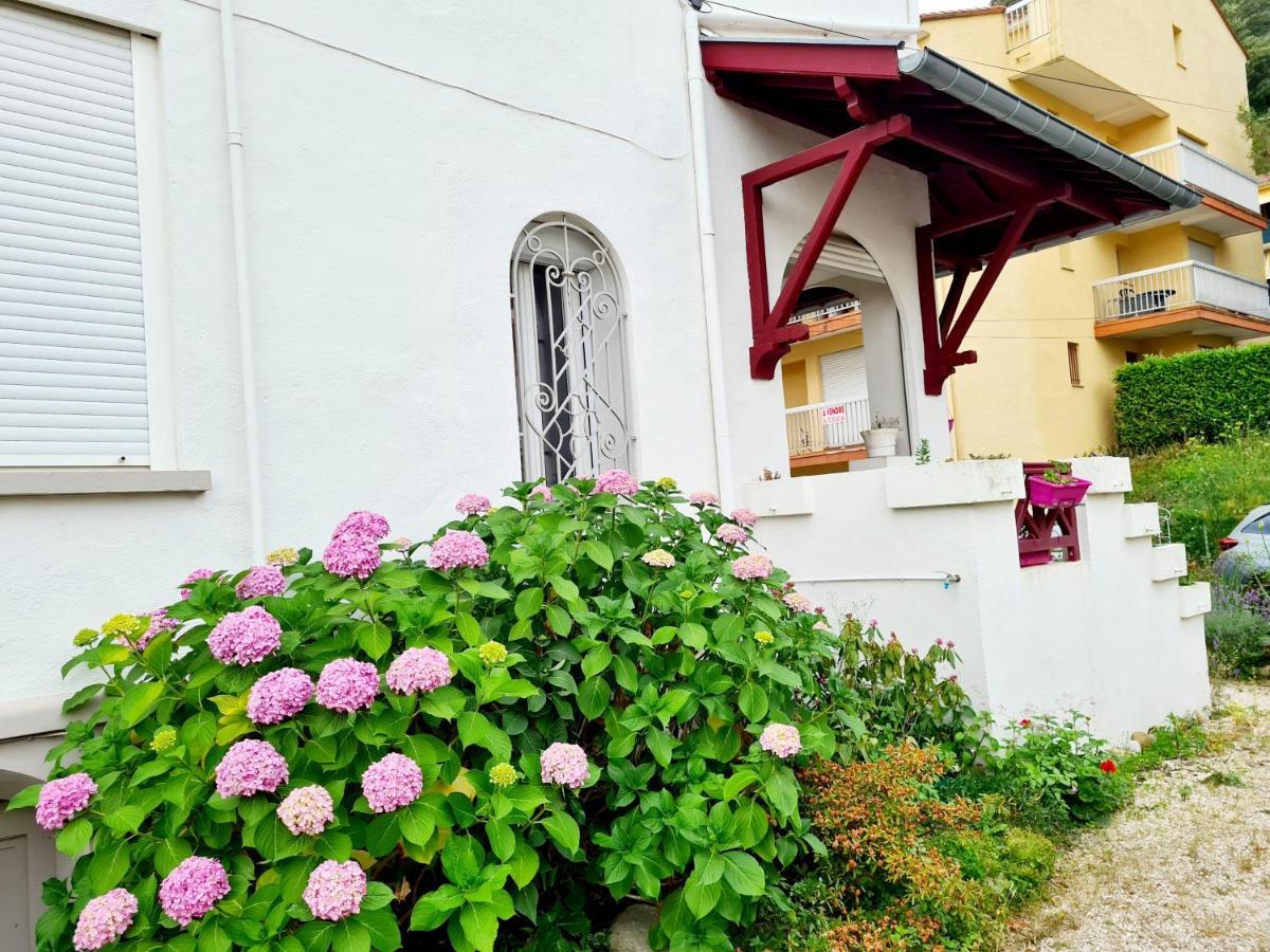 Villa La Closeraie Амели-ле-Бен-Палальда Экстерьер фото